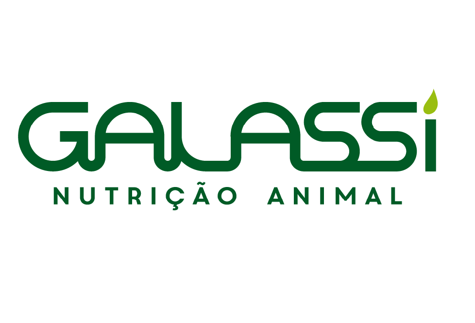 Galassi 