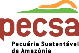 Pecsa 