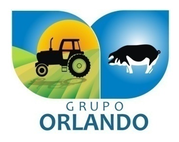 Grupo Orlando 