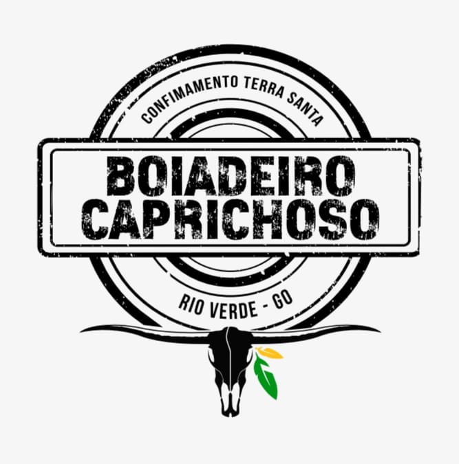 Boiadeiro Caprichoso 